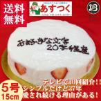 誕生日ケーキ・記念日ケーキ・バースデーケーキにメッセージケーキ/大阪ヨーグルトケーキ/5号（苺