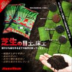 【送料注意】鮮やかな緑をつくる、バロネス　芝生の目土・床土　10kg入り(16Lサイズ)×3個セット