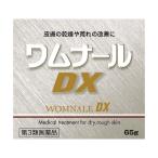 【第3類医薬品】 ワムナールDX 65g