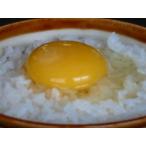 庭鶏の卵8ケース48個2000円