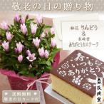 敬老の日のプレゼント（ギフト）2013・お花 りんどう と長崎堂カステラ セット・送料無料