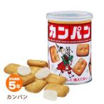 非常食保存食 三立製菓カンパン100g入(乾パン/防災グッズ/防災用品/サンリツ)