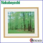 ナカバヤシ　木製写真額（角型：再生木材）　全紙判　フ-SW-179-N　木地