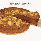 生チョコチーズケーキ(冷凍) 誕生日・お中元ギフト 贈答