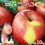 りんご 訳あり【葉とらずふじ１０ｋｇ　ファーム】（5kg 14～20玉×2段詰）