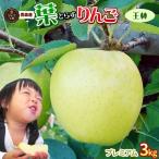 りんご リンゴ 青森【葉とらず王林３kg　プレミアム】ゴールド農園 送料無料