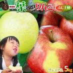 りんご リンゴ 青森 送料無料【葉とらずふじ＋王林５ｋｇ　プレミアム】詰め合わせ