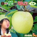 リンゴ りんご 青森【葉とらず王林５kg　プレミアム】ゴールド農園 送料無料
