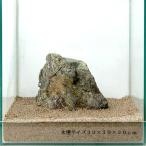 《一点物》風山石（親石）　３０ｃｍ水槽用　１１５９７２【関東当日便】