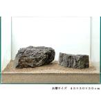 《一点物》風山石　２個セット　４５ｃｍ水槽用　１１５９８３【関東当日便】