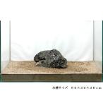 《一点物》風山石（親石）　６０ｃｍ水槽用　１１６９５２【関東当日便】