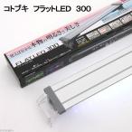 コトブキ　kotobuki　フラットLED　300　30〜36cm水槽用照明・ライト　関東当日便