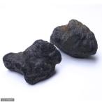 浅間溶岩石（国産）ＬＬサイズ（２個入）約15-25cm