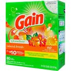 【GAIN】ゲイン洗濯洗剤 粉末（アイランドフレッシュ）粉末 80回分（2.6kg 91oz）