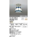 ODELIC(オーデリック) 【工事必要】 小型LEDシーリングライト OL013255LC