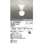 ODELIC(オーデリック) 【工事必要】 LED小型シーリングライト OL218036LD