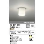 ODELIC(オーデリック) 【工事必要】 LED小型シーリングライト 【白熱灯60Wクラス】 OL251037