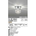 ODELIC(オーデリック) 【工事必要】 LED小型シーリングライト OL251524LD
