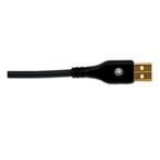 Planet Waves USBケーブル PW-USB-10 (10ft/3.0m USB)