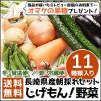 野菜　やさい　ヤサイ(送料無料!!)九州産野菜詰合せ「じげもん野菜セット」　11品　(冷蔵便)