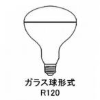 岩崎電気 ケース販売特価 10個セット 屋外投光用アイランプ 集光形 110V 150W形 E26口金 RS110V135WH_set