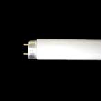 NEC ブラックライト 捕虫器用蛍光ランプケミカルランプ グロースタータ形 20W FL20SBL