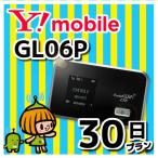 GL06P シルバー EMOBILE / イーモバイル Pocket WiFi LTE
