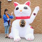 ジャンボエアブロー　招き猫A　215cm　【動画有り】