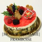 飼い主さんと一緒に！犬用クリスマスケーキ「ムース・フロマージュ・フランボワーズ」