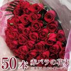 赤いバラ花束 薔薇 ばら  50本