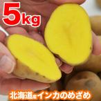 いも　イモ　芋　送料無料　産地直送　薩摩芋級に甘い北海道美瑛産インカのめざめ（不揃い）2S〜Lサイズ約５kg前後　常温