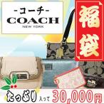 コーチ COACH たっぷり福袋！ コーチ COACH 福袋3万円