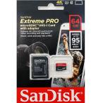 SANDISK SDSDQXP-064G-G46A [64GB]