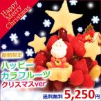 ハッピーカラフルーツ　クリスマスバージョン2014　（送料無料）5,250円