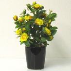 造花 ミニバラ 鉢植え 光触媒 アートフラワー H28cm（黄）