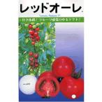 トマト　カネコ交配・・・レッドオーレ・・・＜カネコの中玉トマトです。　種のことならお任せグリーンデポ＞