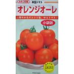 カネコ交配　オレンジオーレ　　カネコ種苗の中玉トマト品種です。