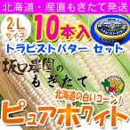 北海道 トウモロコシ とうもろこし )  ピュアホワイトとうもろこし　 2Ｌ×10本入 と トラピストバター200ｇ缶　おすすめセット