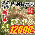 新米特価玄米30kg九州佐賀県25年産一等米特別栽培米夢しずく精米可