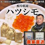 農家直送。岐阜県のブランド米「ハツシモ」（白米）9kg（3ｋｇ×3袋）（送料無料）