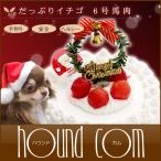 たっぷりイチゴのクリスマスケーキ（No.２）　６号馬肉ベース　【予約受付中】愛犬用クリスマスケーキ