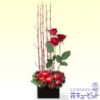 クリスマスフラワー　花キューピットの赤バラのウィンターアレンジメント　mm00-511182