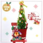 クリスマス産直ギフト　花キューピットのハッピー★ぞうさんとクリスマスツリー　mm03067-710471