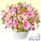 4月の誕生花(アルストロメリア等)　花キューピットのピンクアルストロメリアのボールコンポート　ya04-511020