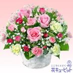 【5月の誕生花】ピンクバラのアレンジメントya05-511116アレンジメントギフト・花キューピット