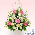 お祝い　花キューピットのピンクホワイトのアレンジメント　yc00-615024