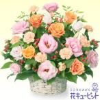 お見舞い　花キューピットのオレンジバラとトルコキキョウのアレンジ　yk00-511168