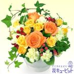 お見舞い　花キューピットのオレンジバラのアレンジメント　yk00-613006