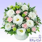 お供え・お悔やみの献花　花キューピットのお供えのアレンジメント　yr00-511128