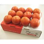 静岡県産 高糖度 フルーツトマト アメーラ 1kg 送料無料